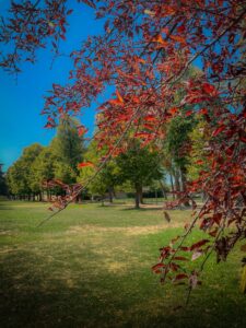 Scopri di più sull'articolo Estate al Parco Cicogna