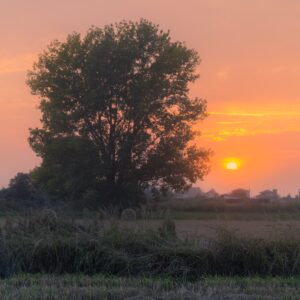 Scopri di più sull'articolo Colori autunnali