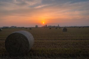 Scopri di più sull'articolo Autunno – Tempo dei rotoloni di paglia