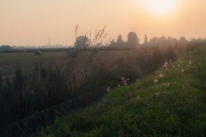 Scopri di più sull'articolo Nelle tonalità del marrone