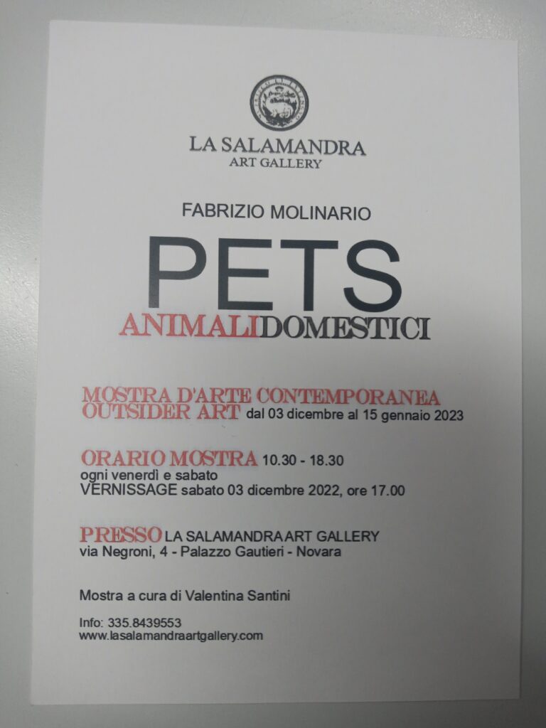 Scopri di più sull'articolo A Palazzo Gauteri a Novara Vi aspetta la mostra Pets