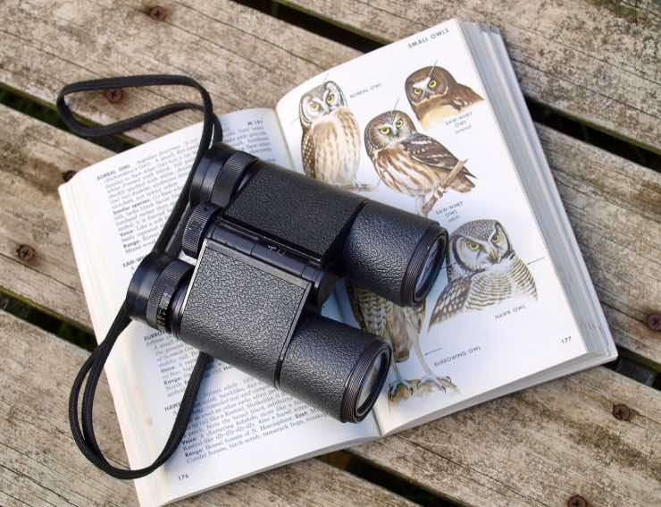 Guida e binocolo per birdwatching