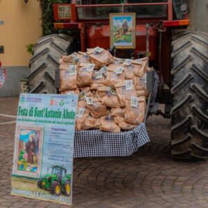 Scopri di più sull'articolo Trecate – Festa di Sant Antonio Abate