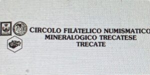 Scopri di più sull'articolo Un’associazione dalle radici profonde