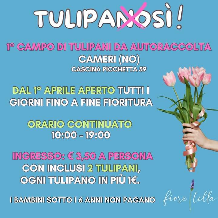 Scopri di più sull'articolo La Cascina Picchetta apre le porte da Aprile alla raccolta dei Tulipani