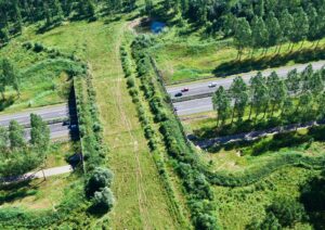 I corridoi ecologici, le autostrade della natura