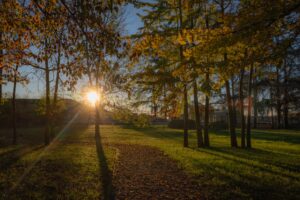 Scopri di più sull'articolo Primi veri segni di autunno