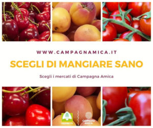 Scopri di più sull'articolo IL 6 LUGLIO TORNA L’AGRIMERCATO DI “CAMPAGNA AMICA” IN PIAZZA CAVOUR A TRECATE