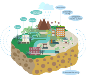 Scopri di più sull'articolo La “città spugna” ci salverà dalla pioggia?
