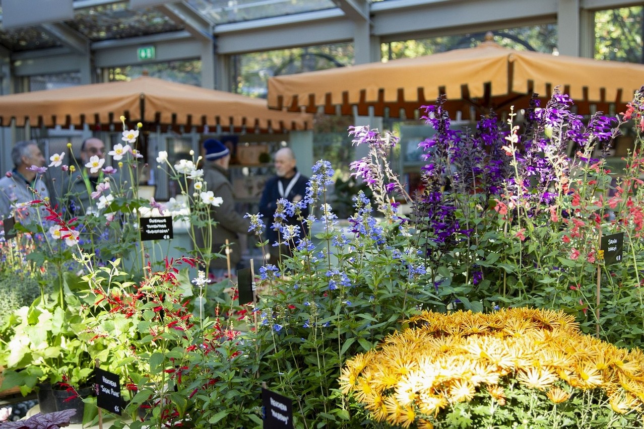 Scopri di più sull'articolo COLORI D’AUTUNNO Piante, fiori e idee per terrazzi e giardini – Villa Necchi Campiglio, Milano-      sabato 9 e domenica 10 novembre 2024.               dalle ore 10 alle 18