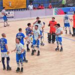 TR Azzurra Hockey Novara - Innocenti Costruzioni Follonica : solo applausi ed un grande rammarico per gli azzurri al Pala Dal Lago. Il racconto e l'analisi di Federico La Capria