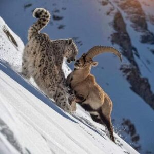 Scopri di più sull'articolo Foto vincitrice del National Geographic