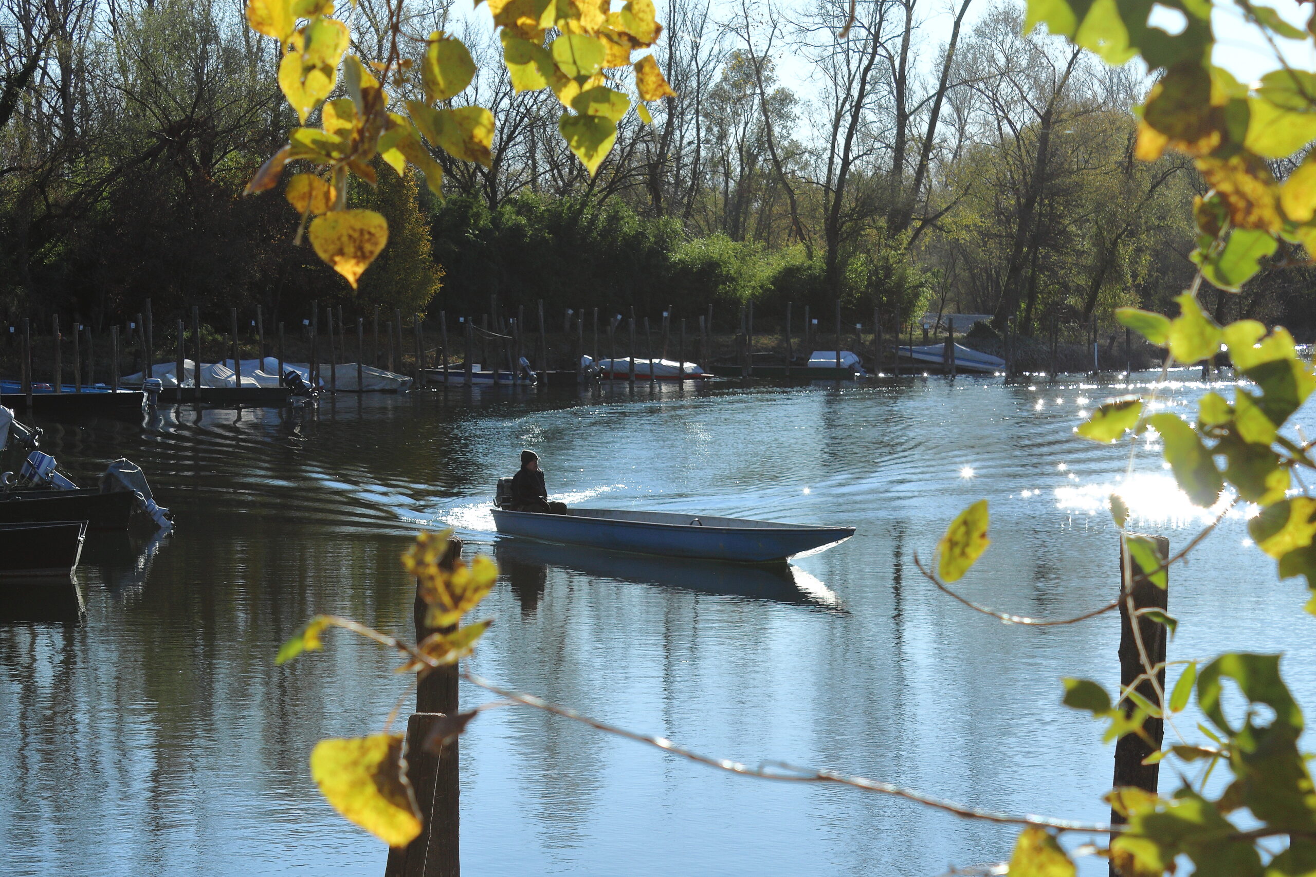 Alla scoperta della Lanca Ayala, nel Parco del Ticino, a Vigevano