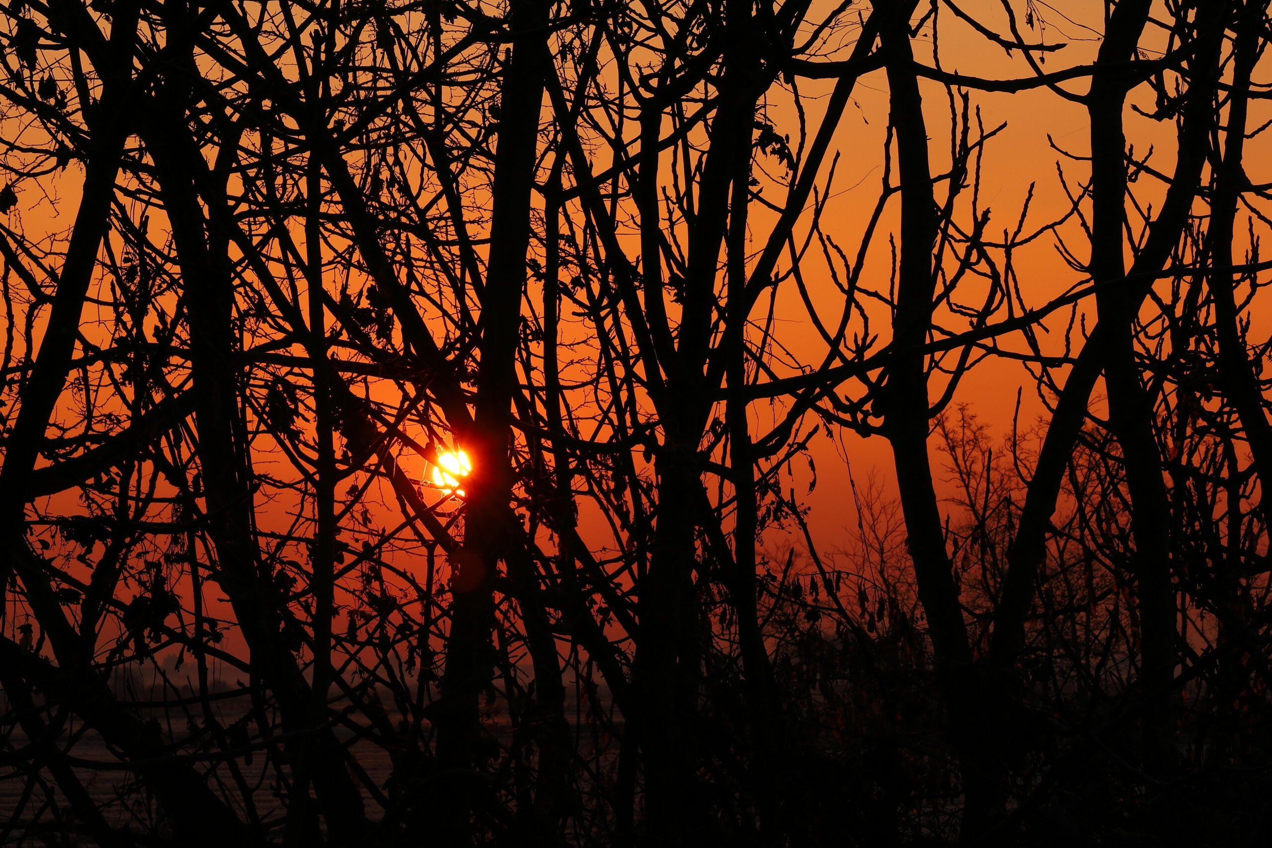 Alba infuocata sulla Bassa Novarese