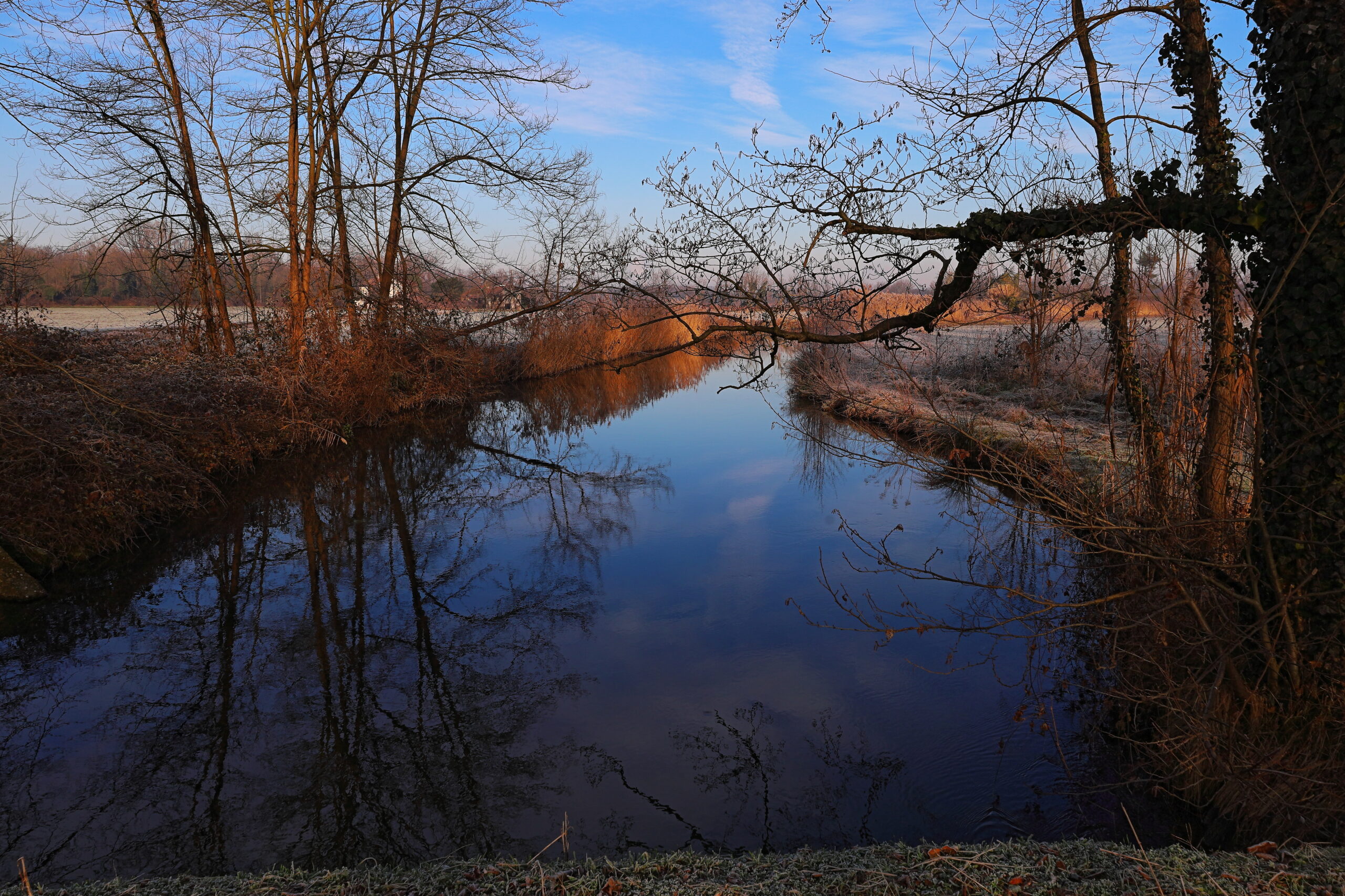 Cartoline invernali dal Parco del Ticino