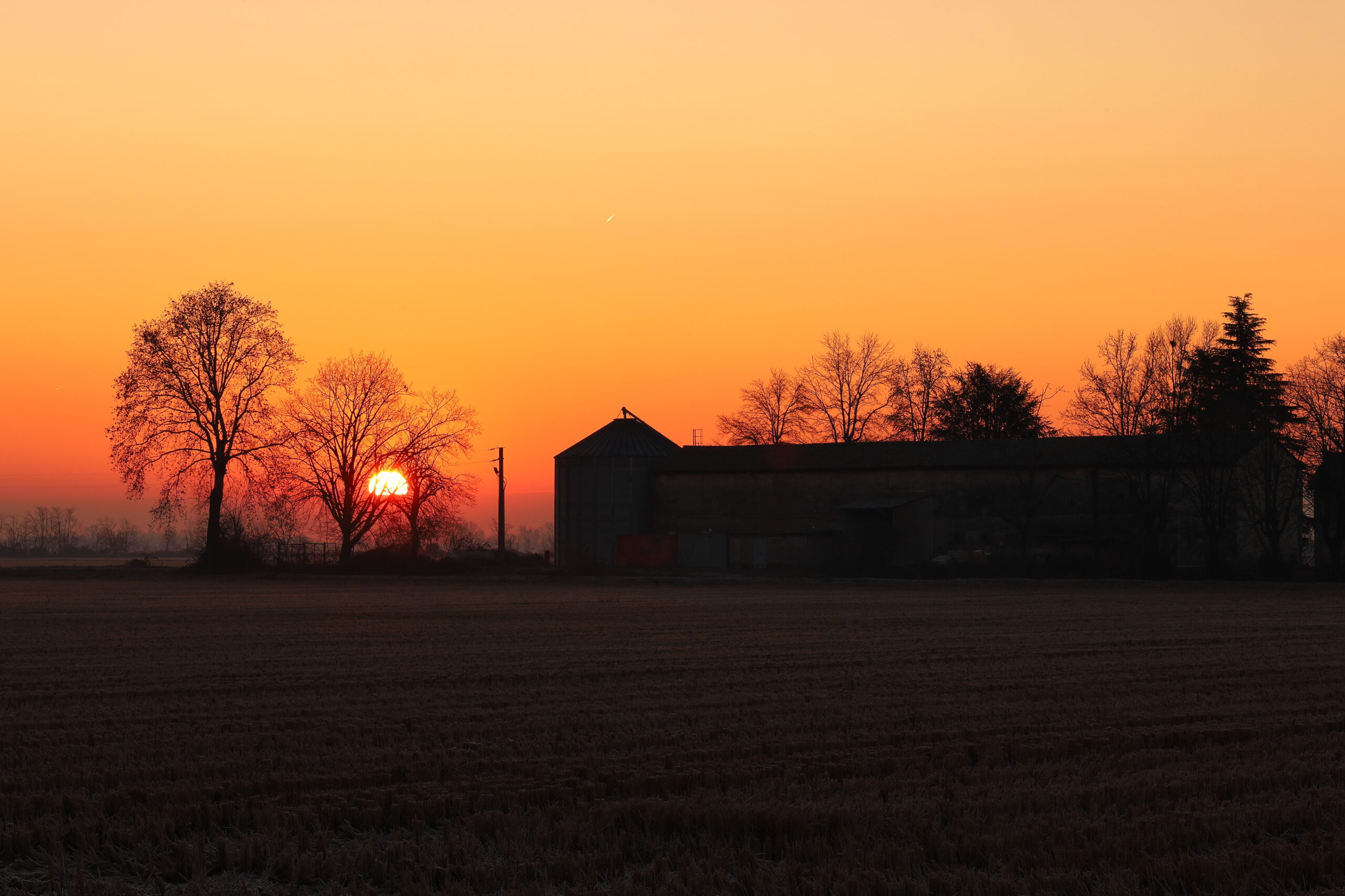 Alba sulla Cascina Mirabella, Cerano