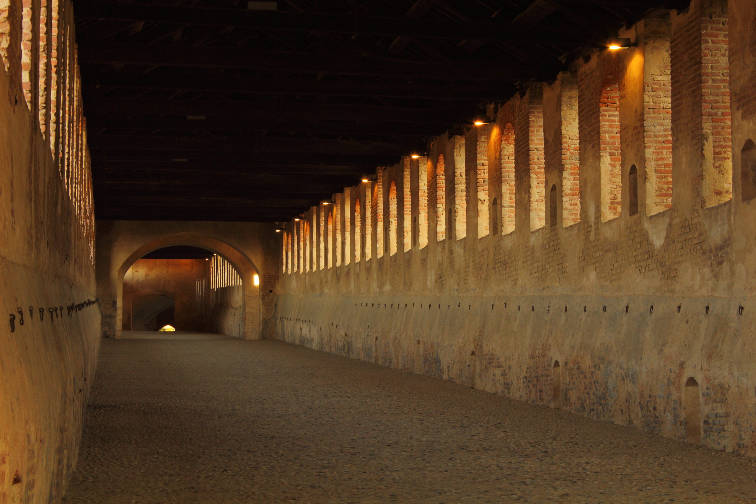 Scopri di più sull'articolo Strada coperta e sotterranee del Castello Visconteo Sforzesco di Vigevano