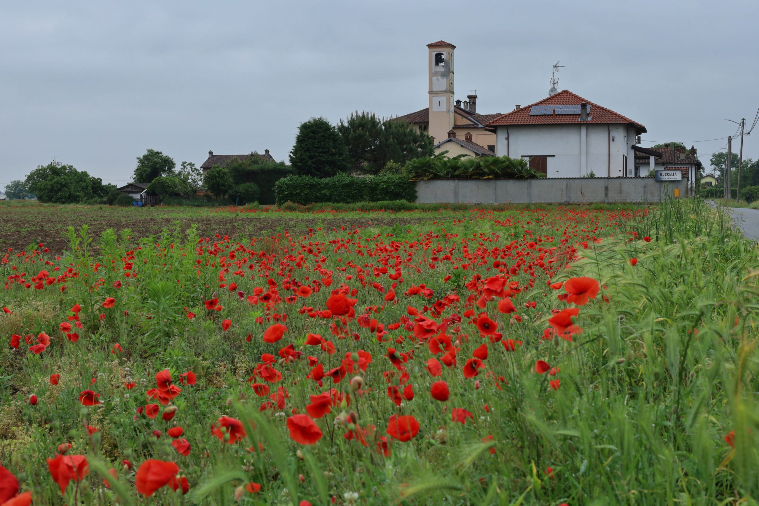 Quattro passi alla Buccella, frazione di Vigevano.