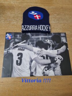 Scopri di più sull'articolo TR Azzurra Hockey Novara -Telea Medical Sandrigo : Vittoria e Salvezza per gli Azzurri ! di Federico La Capria