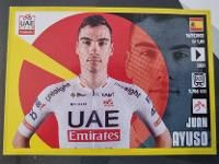 Chariots of Pink (7) : Ayuso vince e Roglic va in Maglia Rosa. di Federico La Capria