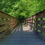 Parco Riserva Naturale Orientata La Fagiana...un'oasi di pace nel Parco del Ticino