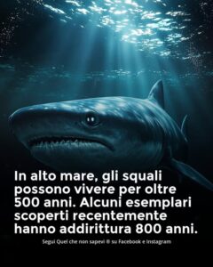 Scopri di più sull'articolo Squali immortali