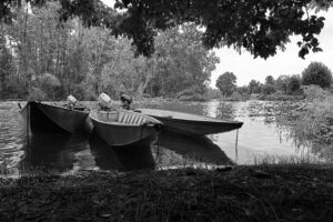 Alla scoperta del Ramo delle Streghe nel Parco del Ticino - Vigevano (Pv)