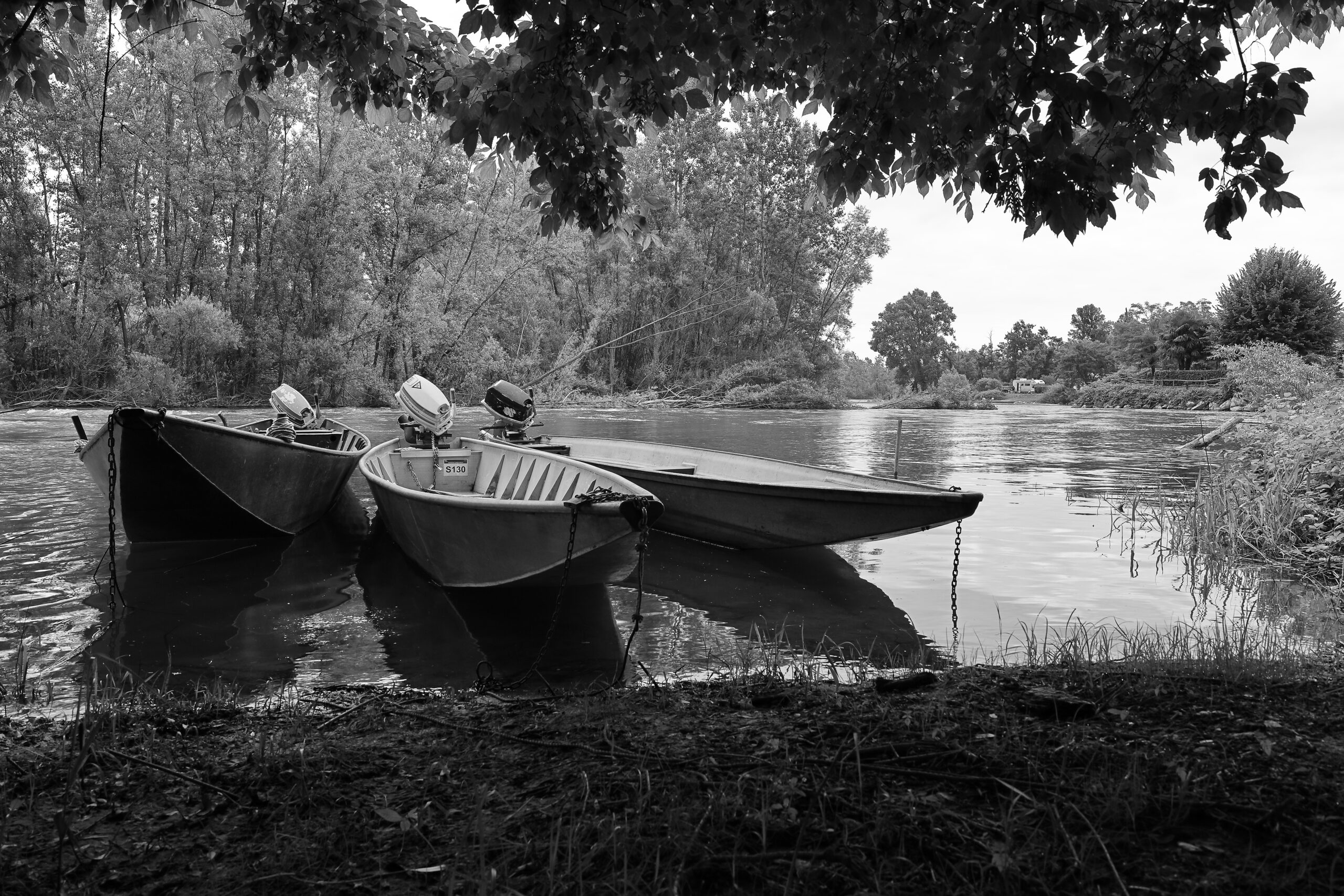 Alla scoperta del Ramo delle Streghe nel Parco del Ticino - Vigevano (Pv)
