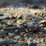 I sassi del Fiume Azzurro