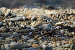 I sassi del Fiume Azzurro