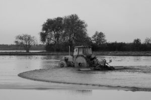 Terre d'acqua
