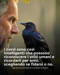 Scopri di più sull'articolo Corvi ti riconoscono!
