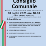Cerano Consiglio Comunale