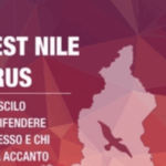Virus West Nile consigli del Comune di Novara