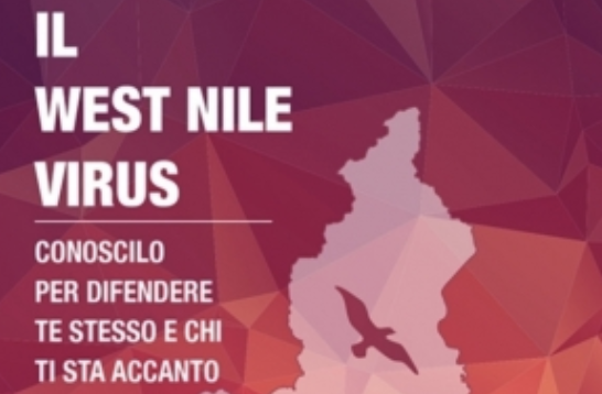 Virus West Nile consigli del Comune di Novara