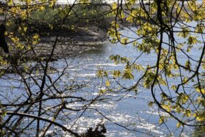 Le chiare fresche acque del Fiume Azzurro