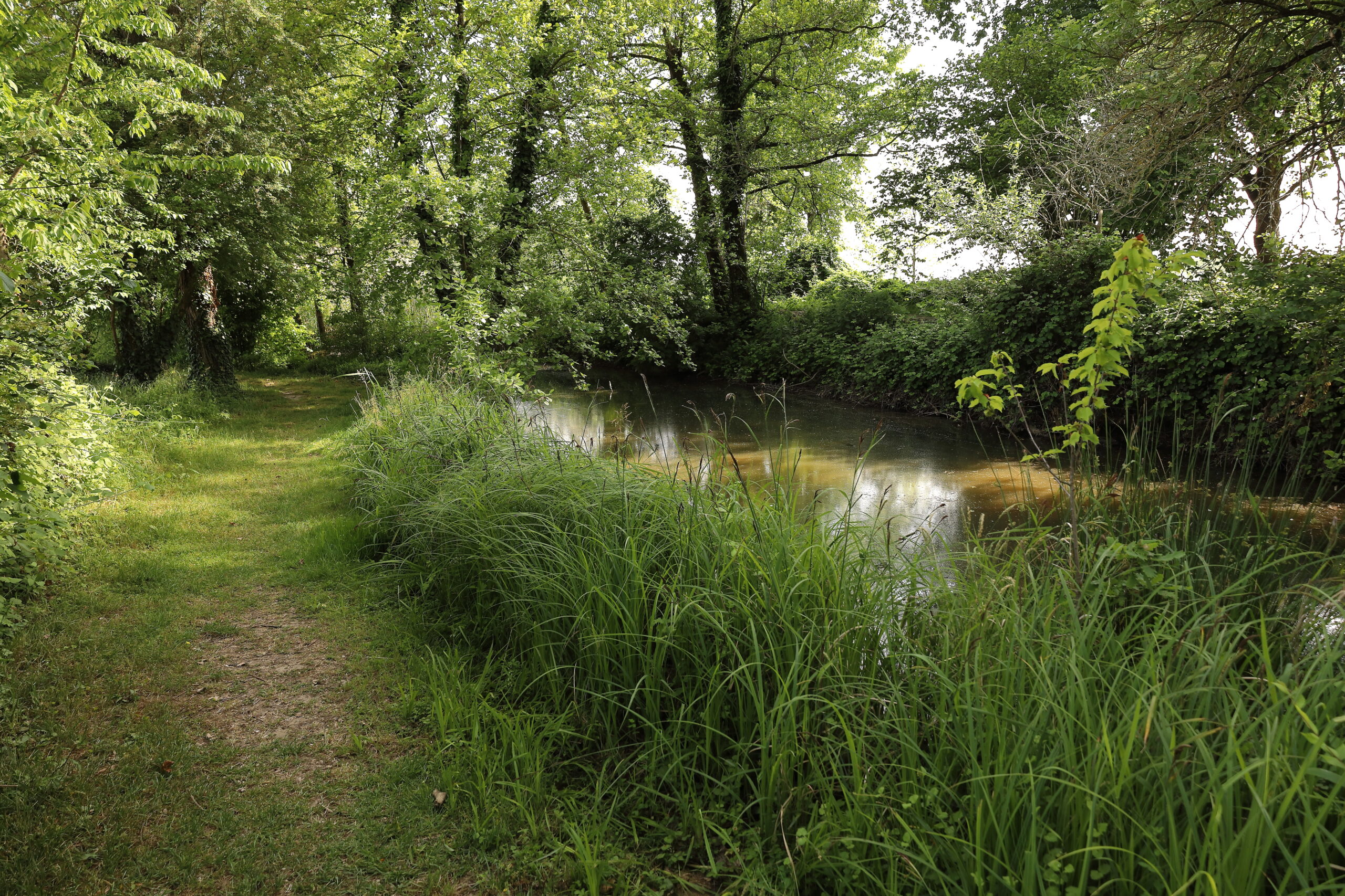 Passeggiando nel "Campo della Ghina" - Oasi naturalistica a Borgolavezzaro