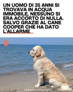 Scopri di più sull'articolo Tutti al mare? Alla sicurezza ci pensa lui