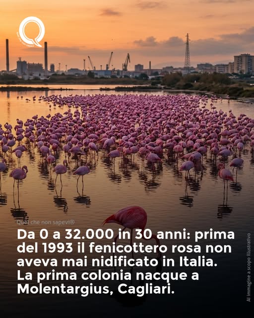 Scopri di più sull'articolo Da 0 a 32mila in 30 anni