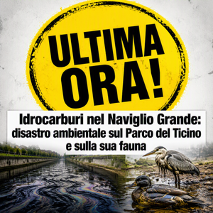 Scopri di più sull'articolo Idrocarburi nel Naviglio Grande: un disastro ambientale che minaccia il Parco del Ticino e la sua fauna