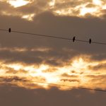 Cieli di inizio autunno