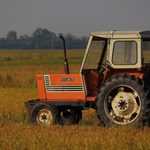 Lavori agricoli di fine estate nella Bassa Novarese