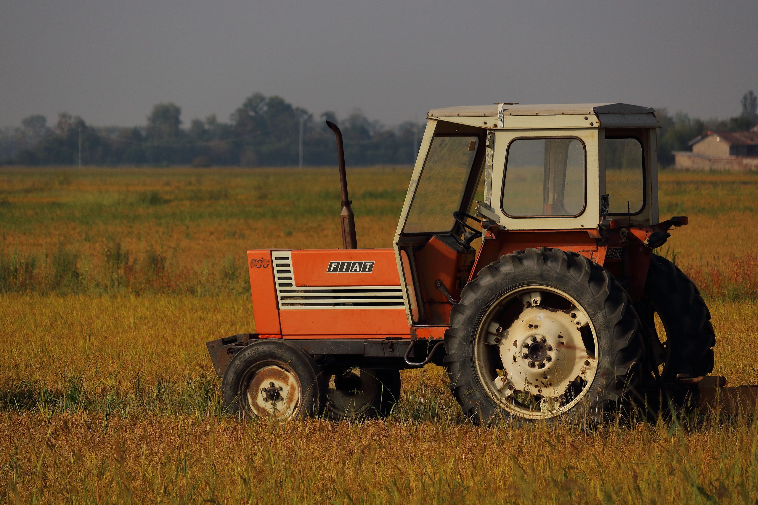 Lavori agricoli di fine estate nella Bassa Novarese
